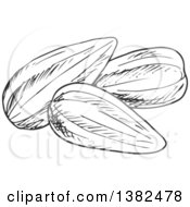 Poster, Art Print Of Black And White Sketched Sunflower Seeds