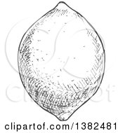 Clipart Of A Gray Sketched Lemon Royalty Free Vector Illustration