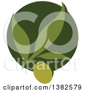 Green Olive Design