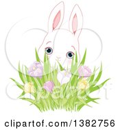 Poster, Art Print Of Cute White Bunny Rabbit Behind A Cluster Of Spring Crocus Flowers
