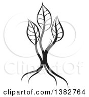 Poster, Art Print Of Black And White Abstract Tree With Leaves
