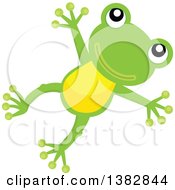 Poster, Art Print Of Happy Green Frog Jumping