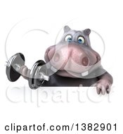 Clipart Of A 3d Henry Hippo Character Working Out On A White Background Royalty Free Illustration