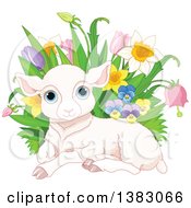 Poster, Art Print Of Cute Pink Easter Sheep Lamb Resting By With Spring Flowers