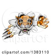 Poster, Art Print Of Vicious Tiger Mascot Slashing Through A Wall