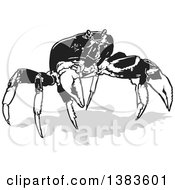 Poster, Art Print Of Black And White Crab With A Shadow