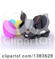 Clipart Of A 3d Cute Gray Bunny Rabbit With Easter Eggs On A White Background Royalty Free Illustration