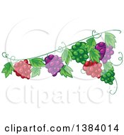 Clipart Of A Green Red And Purple Grape Vine Design Element Royalty Free Vector Illustration