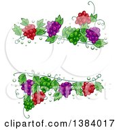 Clipart Of A Green Red And Purple Grape Vine Frame Royalty Free Vector Illustration