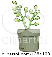 Poster, Art Print Of Potted Succulent Plant