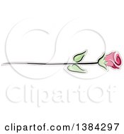 Poster, Art Print Of Pink Long Stemmed Rose