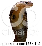 Clipart Of A 3d Cobra Snake Royalty Free Vector Illustration