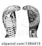 Clipart Of Black And White Cobra Snakes Royalty Free Vector Illustration by dero