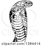 Clipart Of A Black And White Cobra Snake Royalty Free Vector Illustration by dero