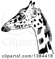 Clipart Of A Black And White Giraffe Royalty Free Vector Illustration