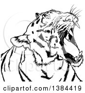 Poster, Art Print Of Black And White Yawning Tiger