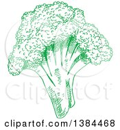 Clipart Of A Sketched Green Broccoli Head Royalty Free Vector Illustration