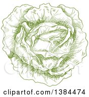 Clipart Of A Sketched Green Cabbage Royalty Free Vector Illustration