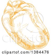 Poster, Art Print Of Sketched Bell Pepper