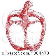 Clipart Of A Sketched Red Bell Pepper Royalty Free Vector Illustration
