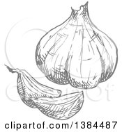 Clipart Of A Sketched Gray Garlic Bulb Royalty Free Vector Illustration