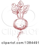 Clipart Of A Sketched Beet Royalty Free Vector Illustration