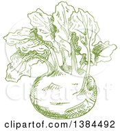 Poster, Art Print Of Sketched Green Kohlrabi