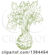 Clipart Of A Sketched Celery Root Royalty Free Vector Illustration by Vector Tradition SM
