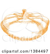 Poster, Art Print Of Sketched Orange Pumpkin Or Squash