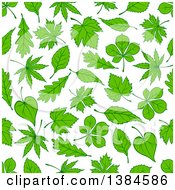 Seamless Background Pattern Of Green Oak Maple And Birch Leaves