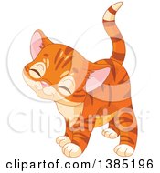 Poster, Art Print Of Cute Ginger Tabby Kitten