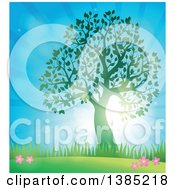 Poster, Art Print Of Green Silhouetted Tree Leafing Out In A Spring Landscape With Sunshine