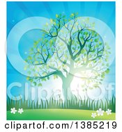 Poster, Art Print Of Green Silhouetted Tree Leafing Out In A Spring Time Landscape With Sunshine
