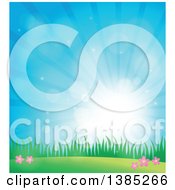 Poster, Art Print Of Spring Background Of Flowers Grass And Sunshine In A Blue Sky