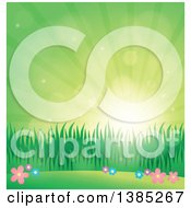 Poster, Art Print Of Spring Background Of Flowers Grass And Sunshine In A Green Sky