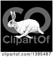 Clipart Of A Black And White Bunny Rabbit On Black Royalty Free Vector Illustration