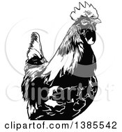 Clipart Of A Black And White Rooster Royalty Free Vector Illustration by dero