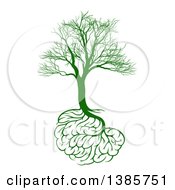 Green Bare Tree With Brain Roots Symbolizing Memory Loss