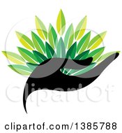 Poster, Art Print Of Black Silhouetted Hand Holding Green Leaves