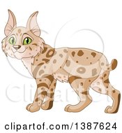 Poster, Art Print Of Cute Bobcat With Green Eyes