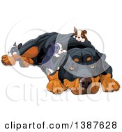 Poster, Art Print Of Cute Rottweiler Dog Resting And Being Crawled On By Puppies