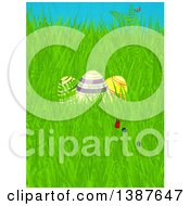 Poster, Art Print Of 3d Striped Easter Eggs Flowers And Butterflies In Spring Grass
