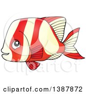 Poster, Art Print Of Red And White Striped Saltwater Marine Fish