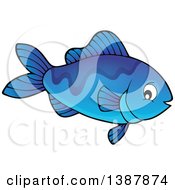 Poster, Art Print Of Blue Saltwater Marine Fish