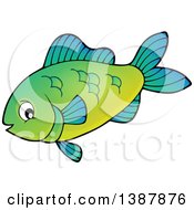 Poster, Art Print Of Green Saltwater Marine Fish