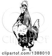 Poster, Art Print Of Cropped Black And White Rooster Crowing