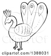 Clipart Of A Cartoon Black And White Lineart Peacock Royalty Free Vector Illustration