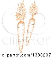 Clipart Of Sketched Orange Carrots Royalty Free Vector Illustration