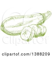 Clipart Of A Sketched Green Zucchini Royalty Free Vector Illustration
