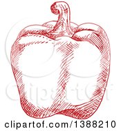 Poster, Art Print Of Sketched Red Bell Pepper
